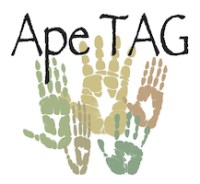 About the TAG – Ape Tag